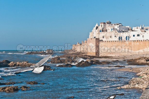 Defensive walls of Essaouira, Morocco by Anibal Trejo
